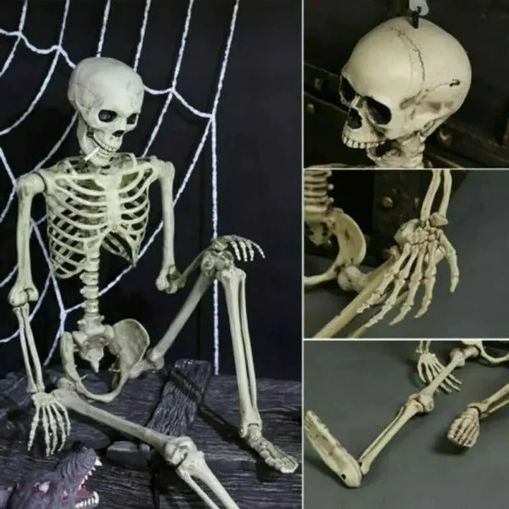 Poseable Skeleton for Halloween Decor – Creepy Figure