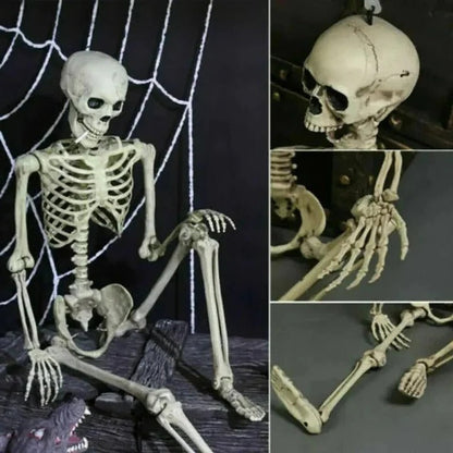 Poseable Skeleton for Halloween Decor – Creepy Figure