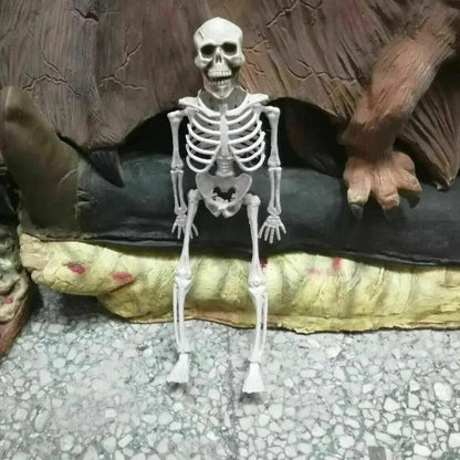 Poseable Skeleton for Halloween Decor – Creepy Figure