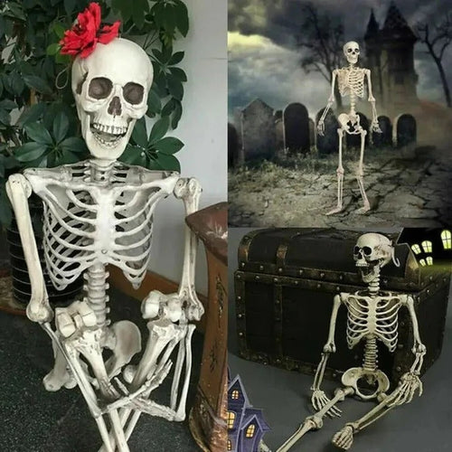 Poseable Skeleton for Halloween Decor – Creepy Figure
