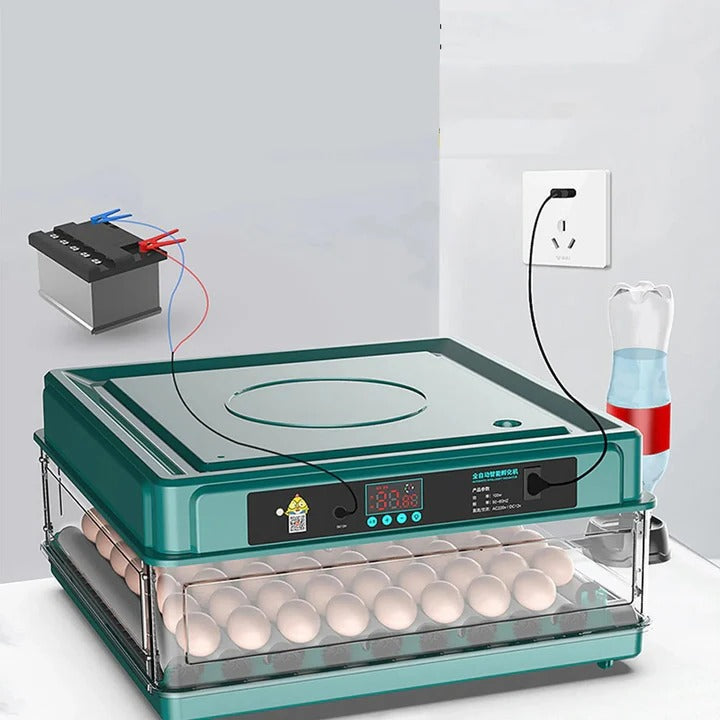 Digital Egg Incubator with Adjustable Tray for Hatching Eggs