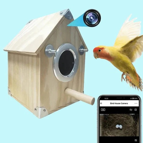 Nesting Feeder for Bird Watching