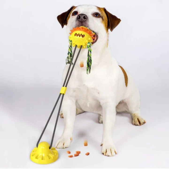 Self-Playing Interactive Toy for Pets