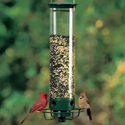 Weight-Activated Squirrel-Resistant Bird Feeder - 4 Ports, Metal & Polycarbonate
