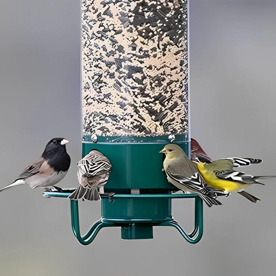 Weight-Activated Squirrel-Resistant Bird Feeder - 4 Ports, Metal & Polycarbonate