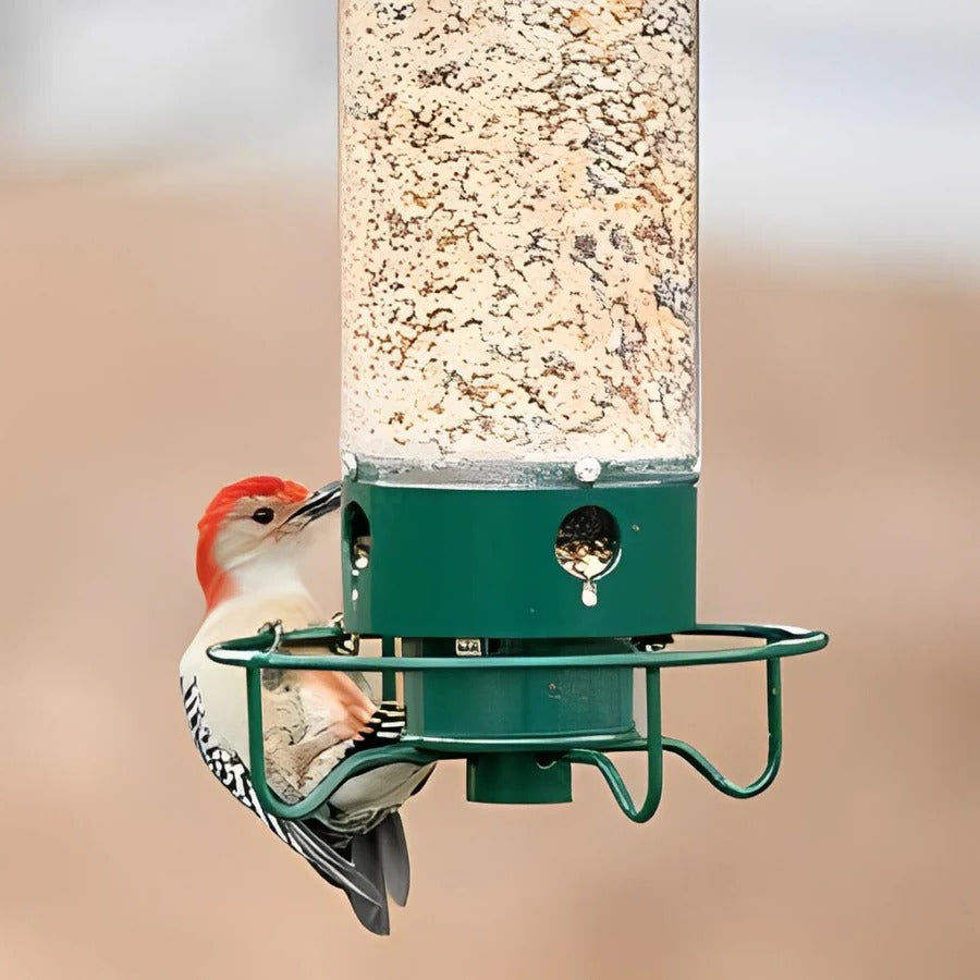 Weight-Activated Squirrel-Resistant Bird Feeder - 4 Ports, Metal & Polycarbonate