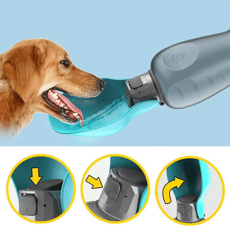Portable Pet Hydration Bottle with Collapsible Bowl