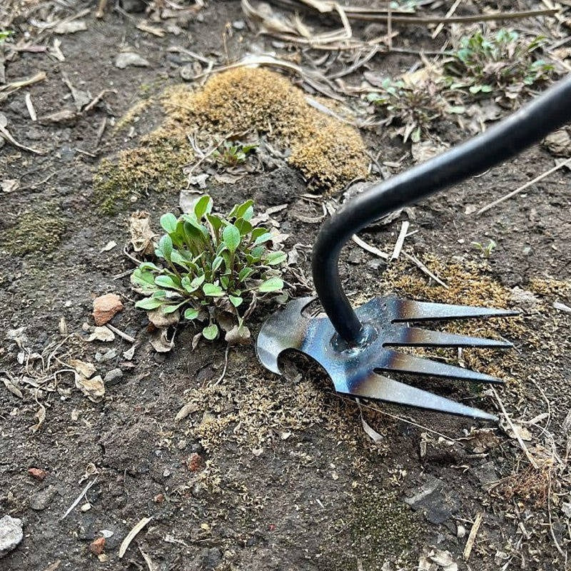 Ergonomic Weed Removal Tool for Effortless Gardening