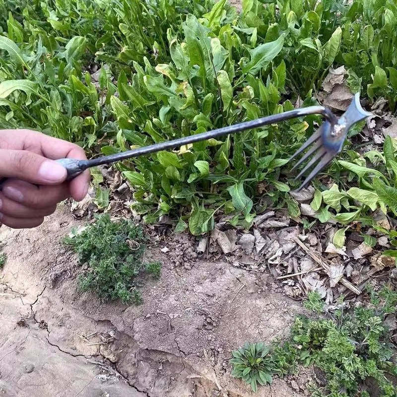 Ergonomic Weed Removal Tool for Effortless Gardening