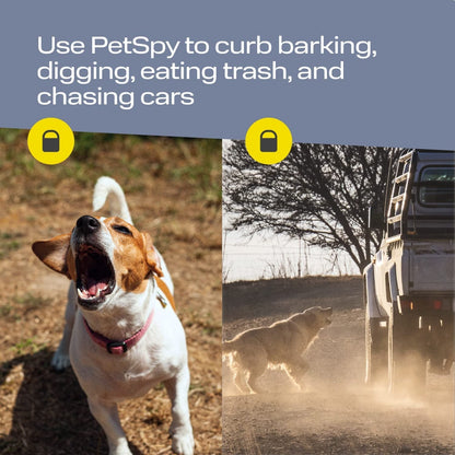Ultrasonic Dog Deterrent with Long-Distance Effectiveness