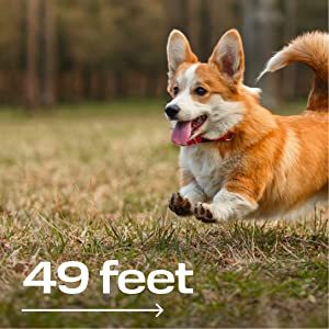 Ultrasonic Dog Deterrent with Long-Distance Effectiveness
