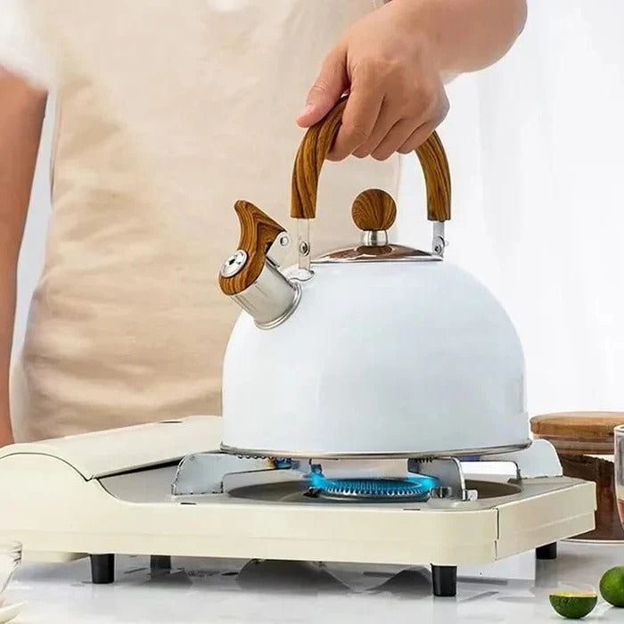 Whistling Kettle for Induction and Gas Stoves with Heat-Resistant Handle