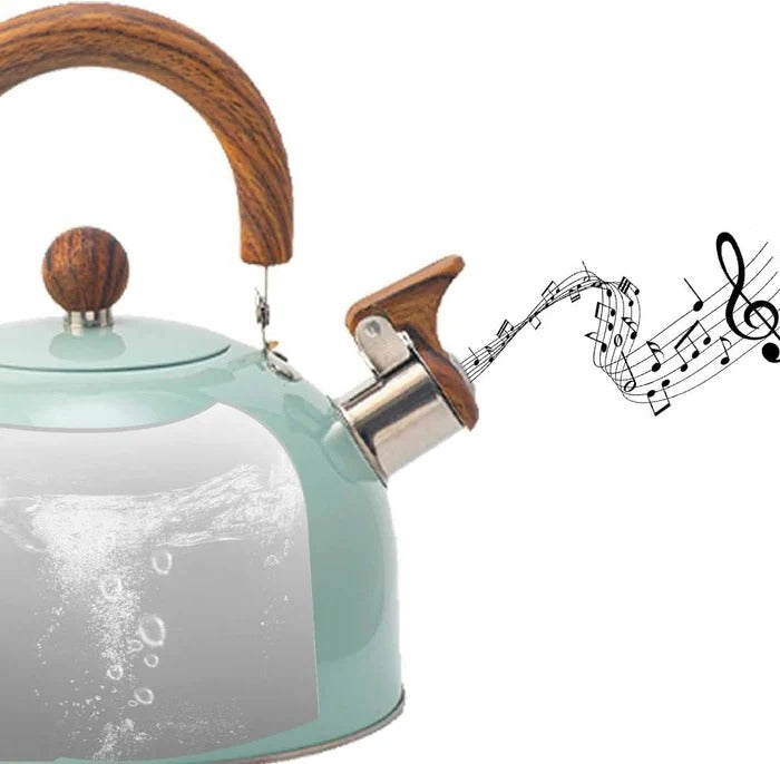 Whistling Kettle for Induction and Gas Stoves with Heat-Resistant Handle