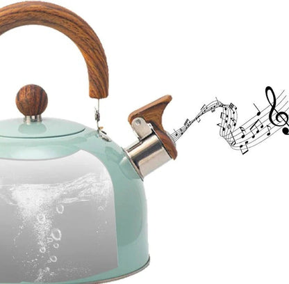 Whistling Kettle for Induction and Gas Stoves with Heat-Resistant Handle
