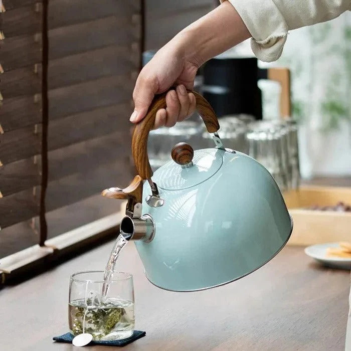 Whistling Kettle for Induction and Gas Stoves with Heat-Resistant Handle