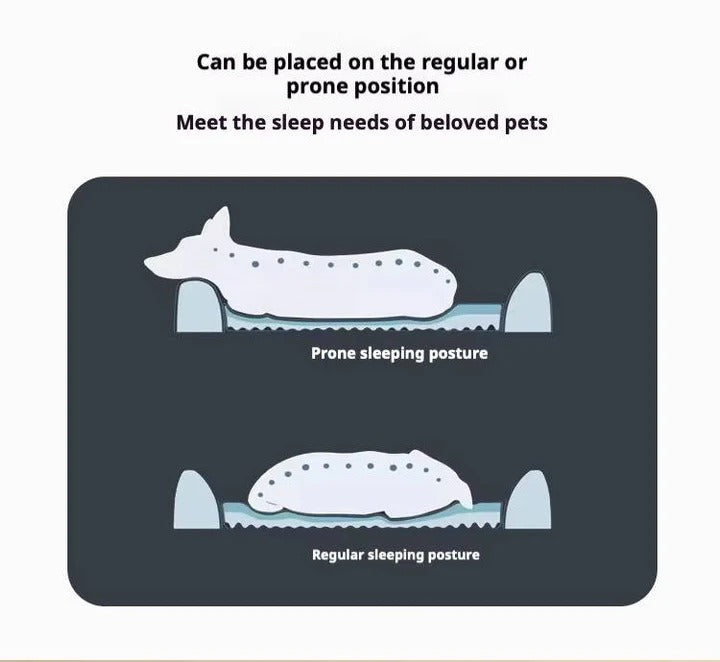 Car Travel Dog Beds Designed for Orthopedic Support