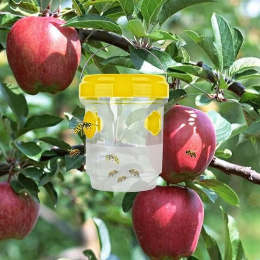 Fruit Fly Traps for Insects