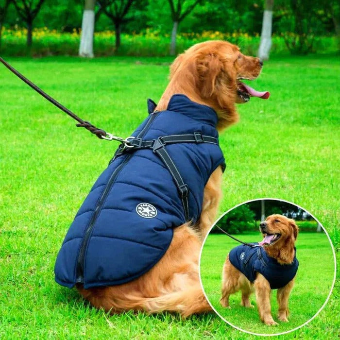 Waterproof Dog Jacket for Winter Weather