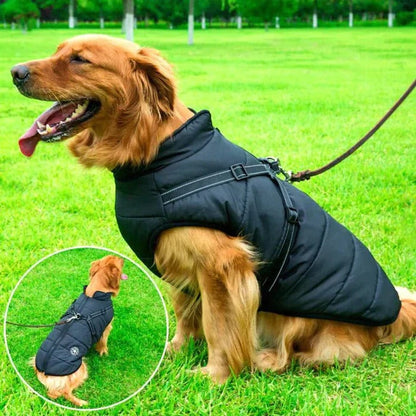 Waterproof Dog Jacket for Winter Weather