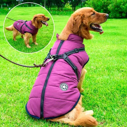 Waterproof Dog Jacket for Winter Weather