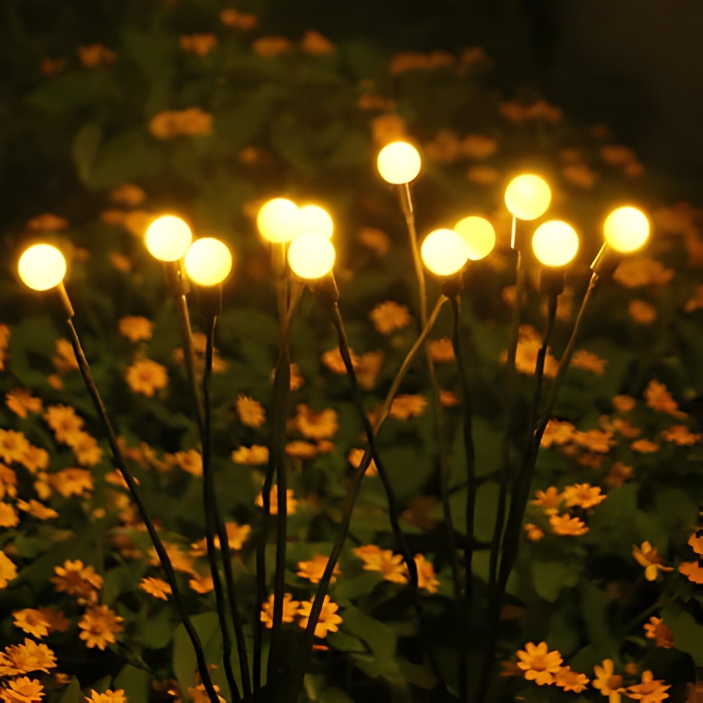 Outdoor Solar Garden Lights for Pathway and Landscape Illumination