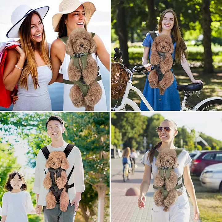 Backpack for Carrying Dogs
