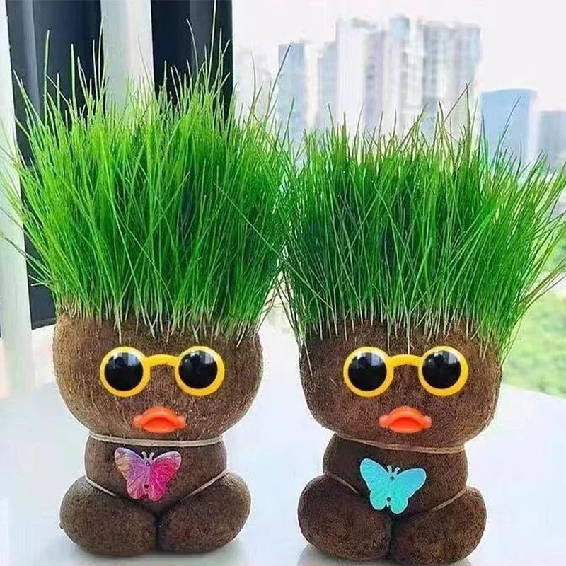Lively Indoor Grass Buddy for a Fresh Home Atmosphere