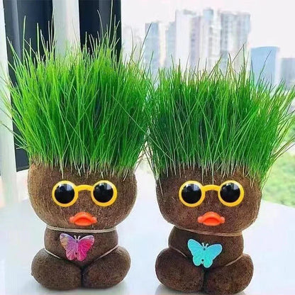 Lively Indoor Grass Buddy for a Fresh Home Atmosphere