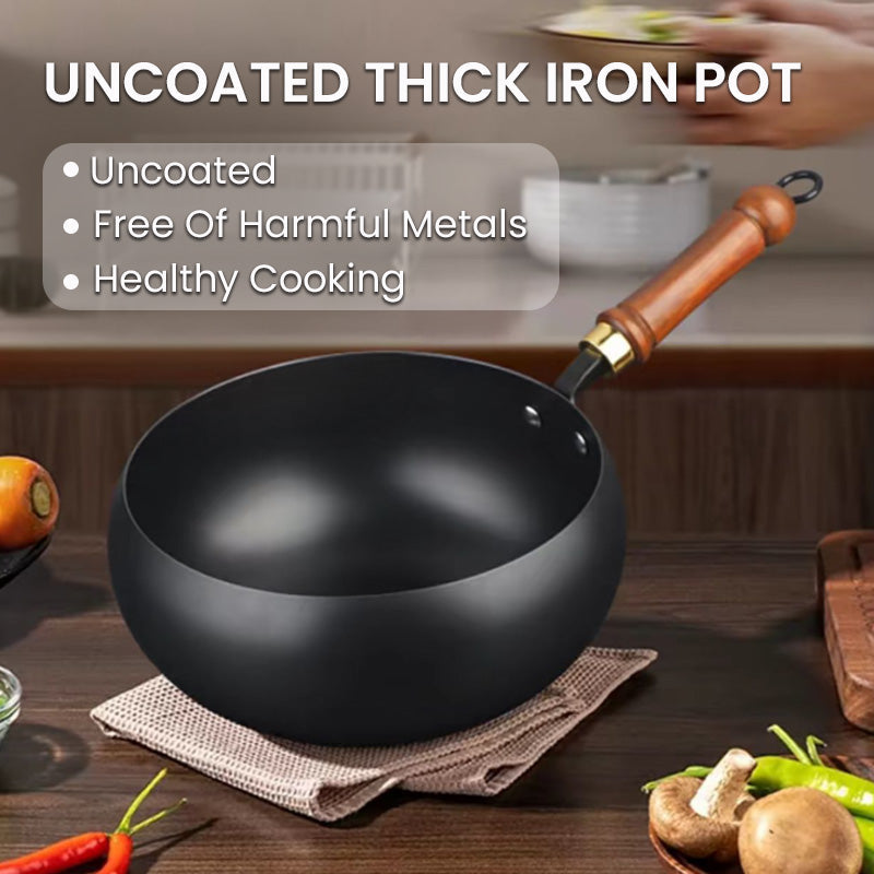 Versatile Cooking Pot for Perfect Meals – SmartCook IronPot Pro