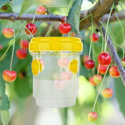 Fruit Fly Traps for Insects