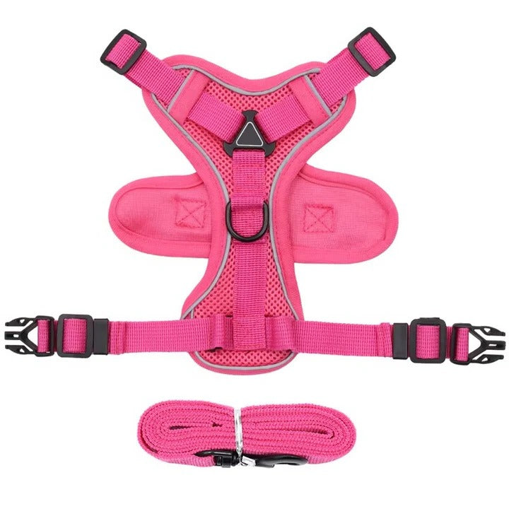 Reflective Cat Leash and Harness Set
