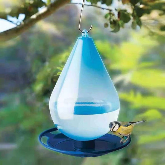 Bird Water Feeder in Raindrop Design