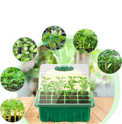 New Nursery Pot with Lamp for Home Use