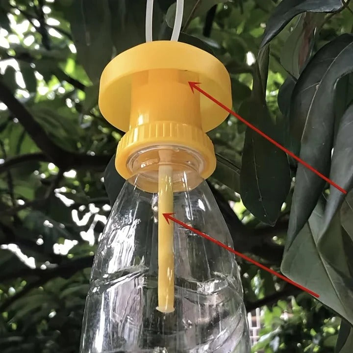 Hanging Cover Fruit Fly Trap