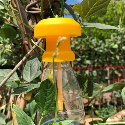 Hanging Cover Fruit Fly Trap