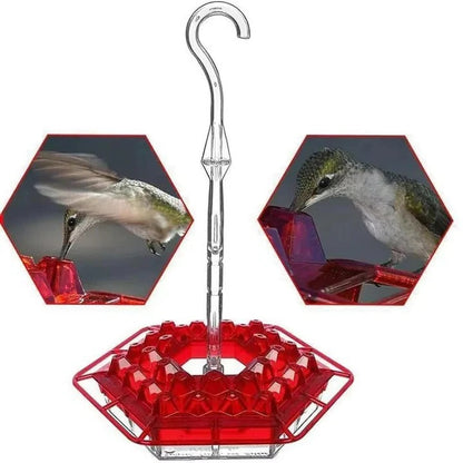 Outdoor Garden Feeder for Hummingbirds with Ant Moat