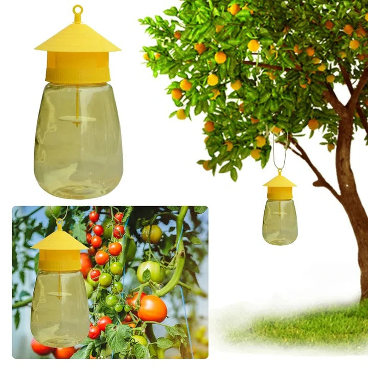 Fruit Fly Trap – Hanging Design for Effective Pest Control