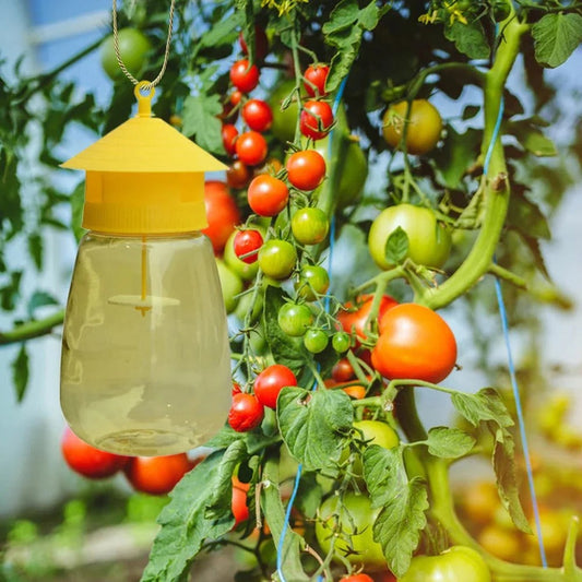 Fruit Fly Trap – Hanging Design for Effective Pest Control