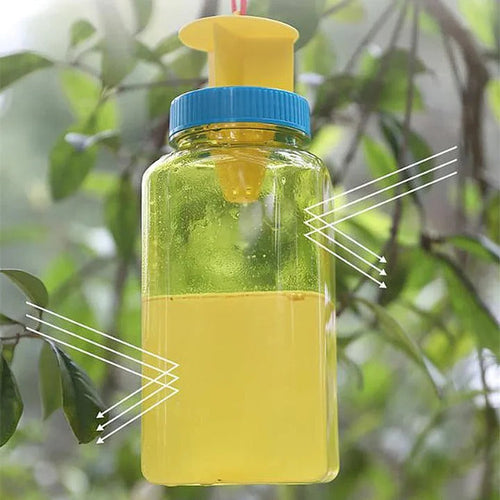 Eco-Friendly Reusable Bottle for Catching Fruit Flies