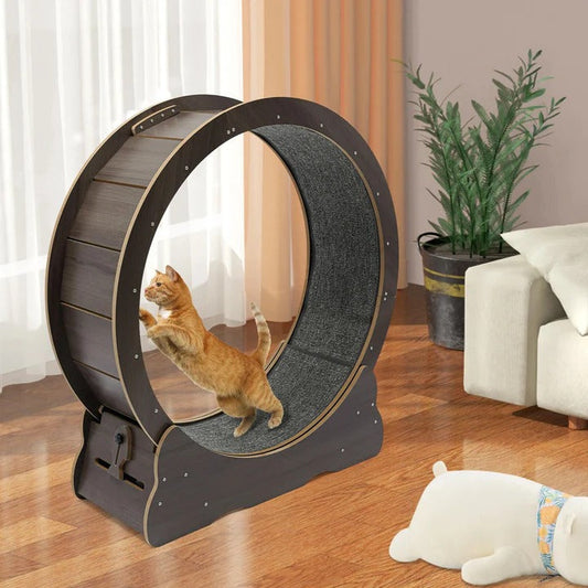 Cat Fitness Wheel for Exercise and Play