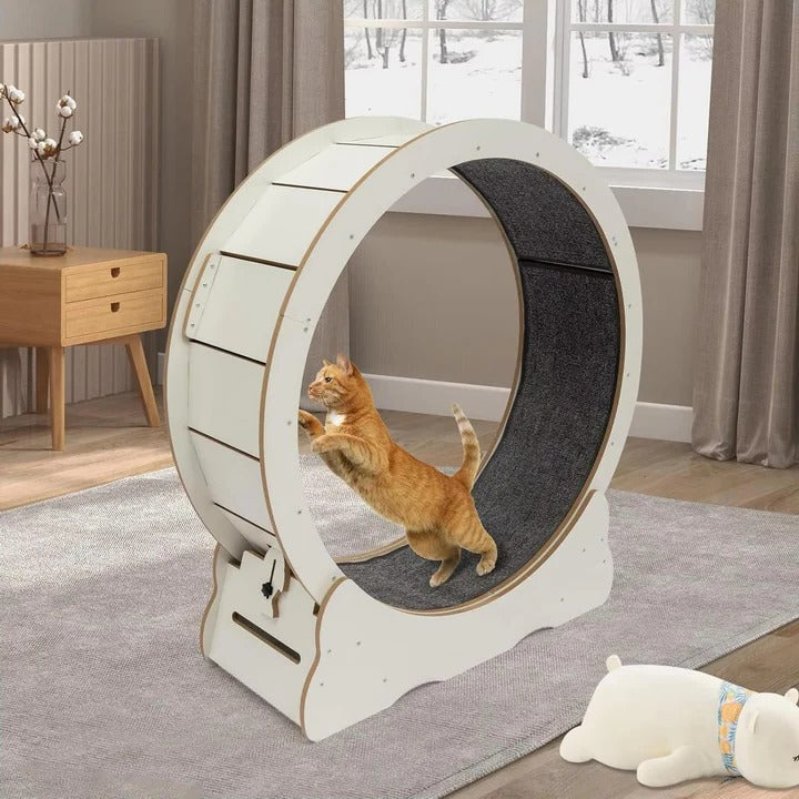 Cat Fitness Wheel for Exercise and Play