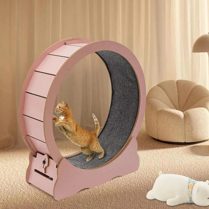 Cat Fitness Wheel for Exercise and Play