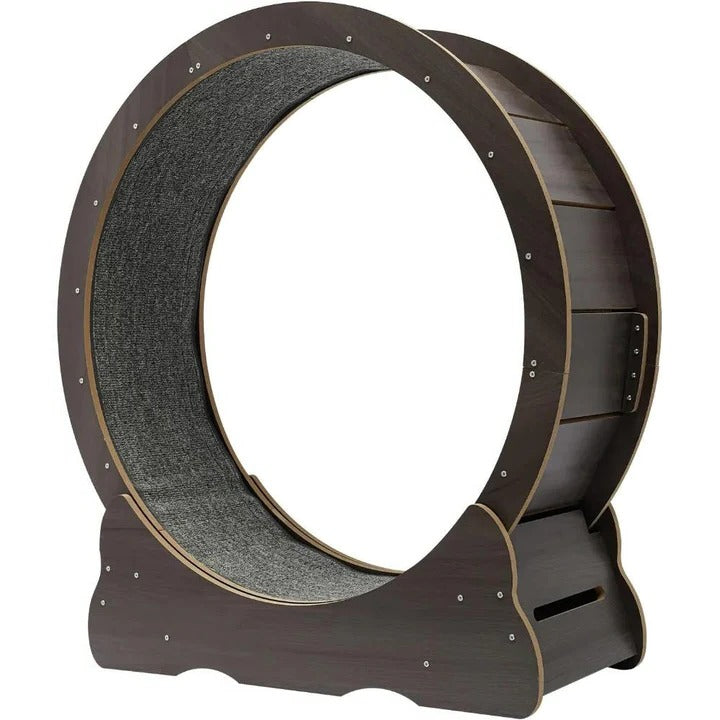 Cat Fitness Wheel for Exercise and Play