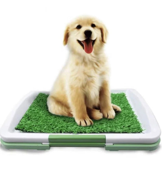 Artificial Grass Dog Potty for Indoor Use