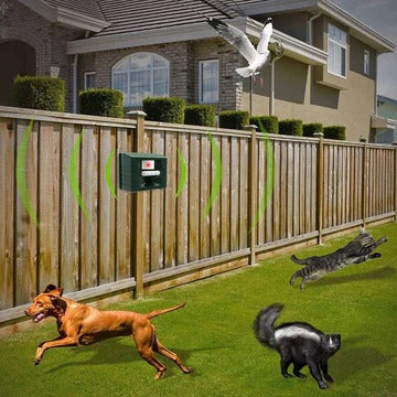 Ultrasonic Bird Repeller for Woodpecker Control – Effective Solution