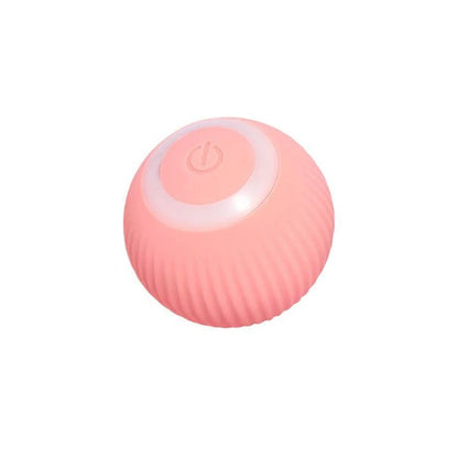 Engaging Play Ball for Cats – Interactive Toy