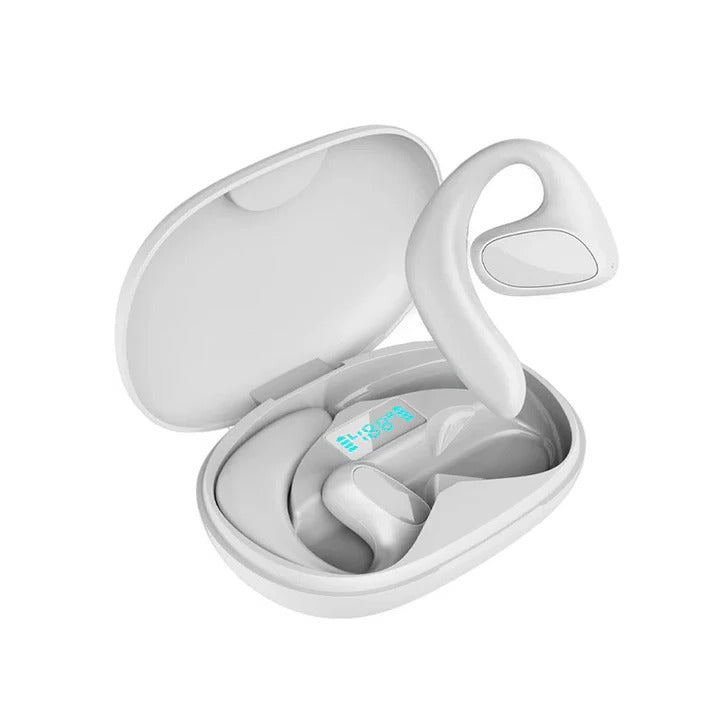 Wireless Earbuds for Language Translation