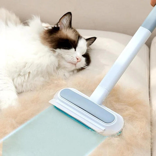 Effective Pet Hair Removal Tool for Carpets and Furniture