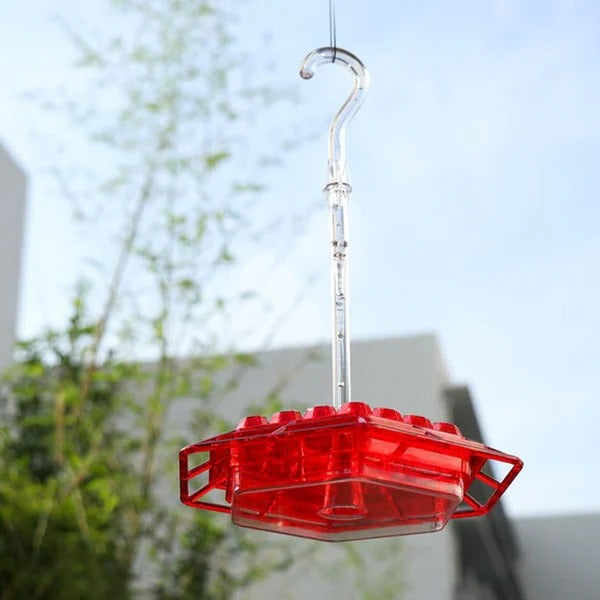 Hummingbird Feeder Featuring Integrated Ant Moat