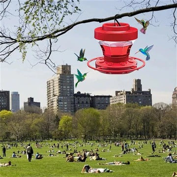 Bee-Resistant Hummingbird Water Feeders with Perch for Hanging